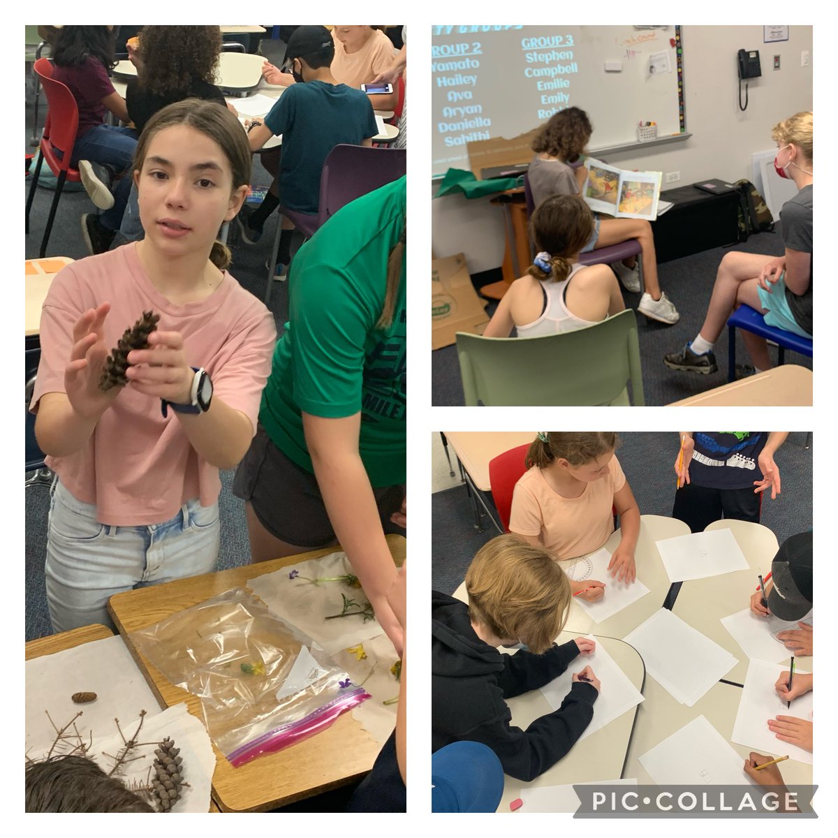 5th grade ⁦<a href="/WindsorWildcats/">WindsorWildcats</a>⁩ in @AmyPinski class solidifying their own learning by teaching their classmates about Fibonacci numbers. Real world application with pine cones, Ss running stations. 👀 out <a href="/AHSD25South/">South Middle School</a> &amp; ⁦<a href="/AHSD25Thomas/">Thomas Middle School</a>⁩, here they come! #D25ItsPersonal