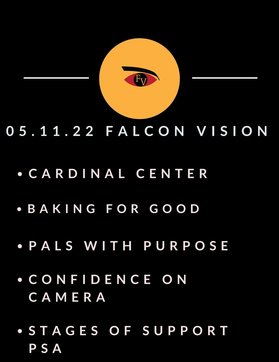 TPFalconVision tweet picture