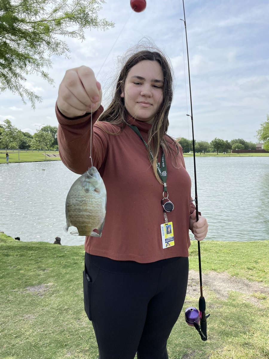 Jason Anderson tweet media