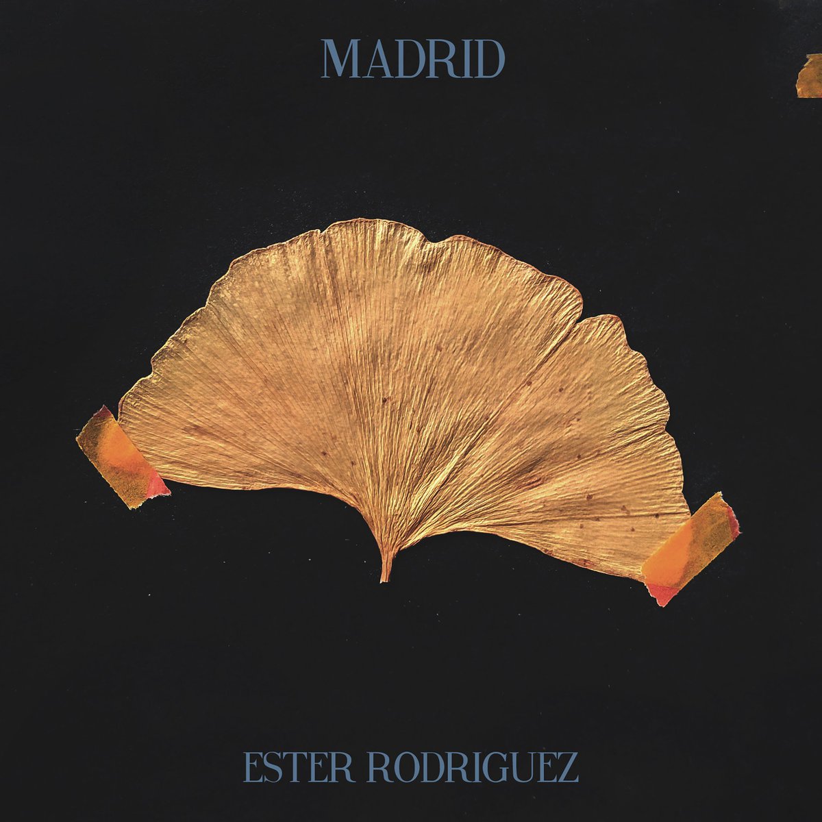 Ester Rodriguez tweet media