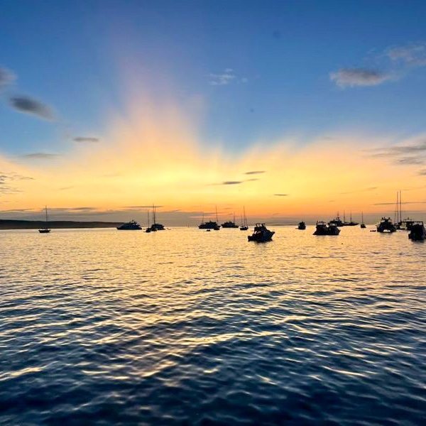 (Water)Falling for Ecuador!

Carolyn Brueggemann <a href="/carolyn/">Carolyn Rafaelian</a>.roseb⁠
📸Quito, Ecuador
📍Exchange with Universidad San Francisco de Quito (USFQ) - Cumbaya Main Campus
