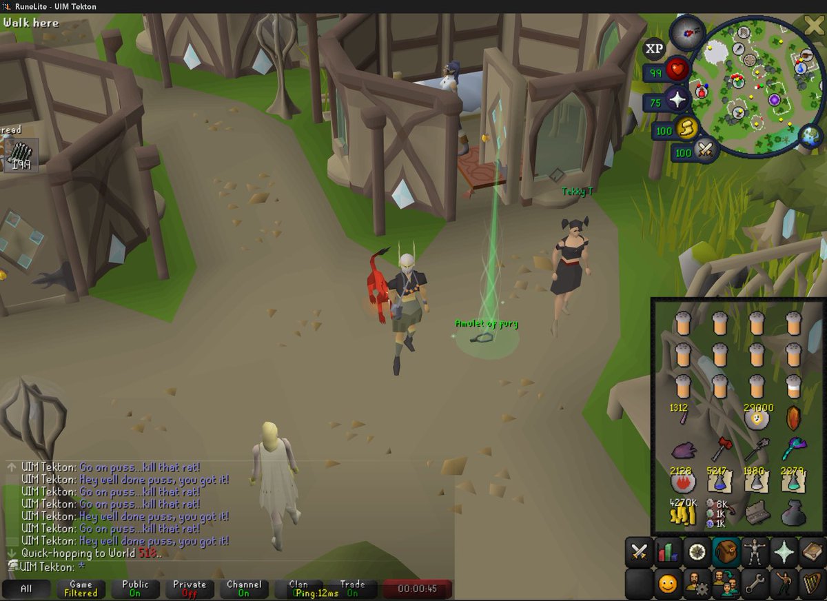 Shitty grind done🟩 Torture acquired 🟩 Fury ditched 🟩 bis magic amulet is now the trimmed one 😂