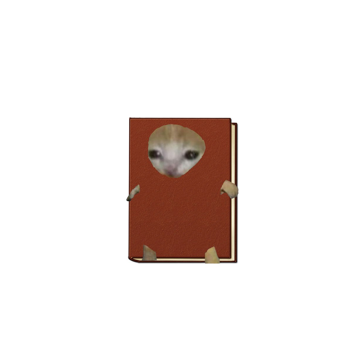 cattoeverywhere's tweet photo. @Nojo_Uradi Book-Catto https://t.co/tW8scAhP8d