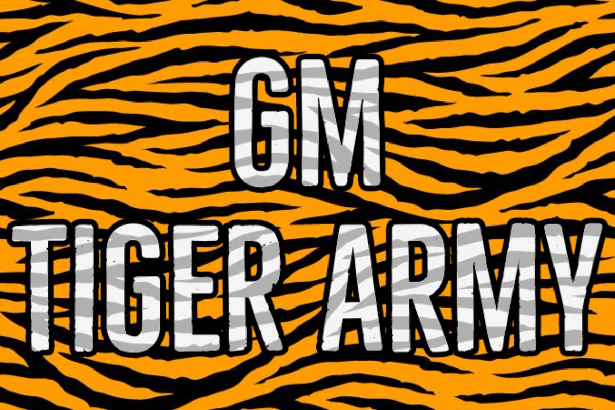 #ROARRRRGH 🐯🏴‍☠️