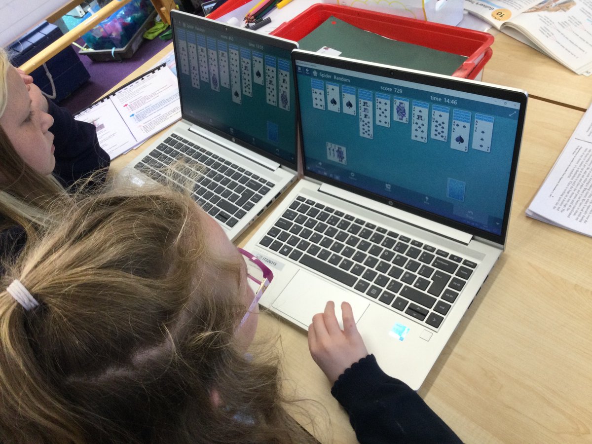 Caledonia Primary tweet media