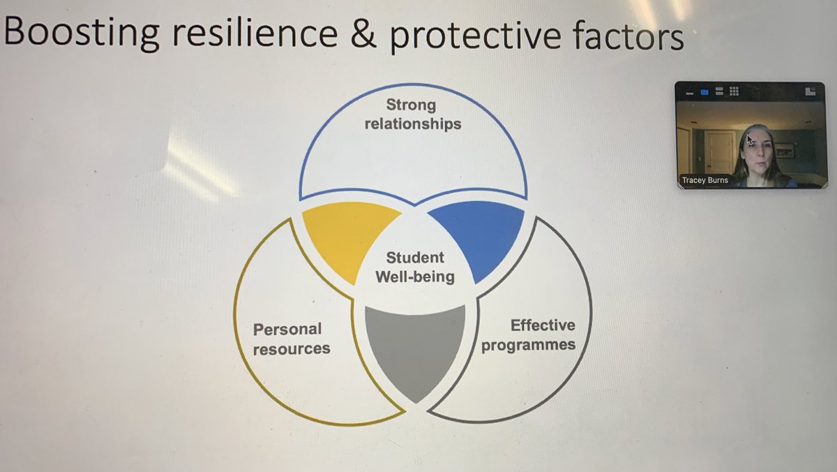 JTurner_RPsych's tweet photo. What is necessary to support well-being? Dr Tracey Burns #albertaresearchnetwork @AlbertaEd @UCalgaryEduc #wellbeingined https://t.co/6XfWpuNG92