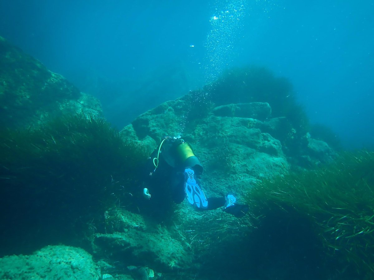 U_ugo__'s tweet photo. Salut !
Le film sous-marin se prépare bien, on tourne la semaine prochaine dans le cap !

On a besoin de vous puisque évidemment, tourner sous l’eau c’est super coûteux.
N’hésitez pas a faire un don sur le lien prévu, et lisez bien le message de la réalisatrice ! https://t.co/5EY4DaJum4