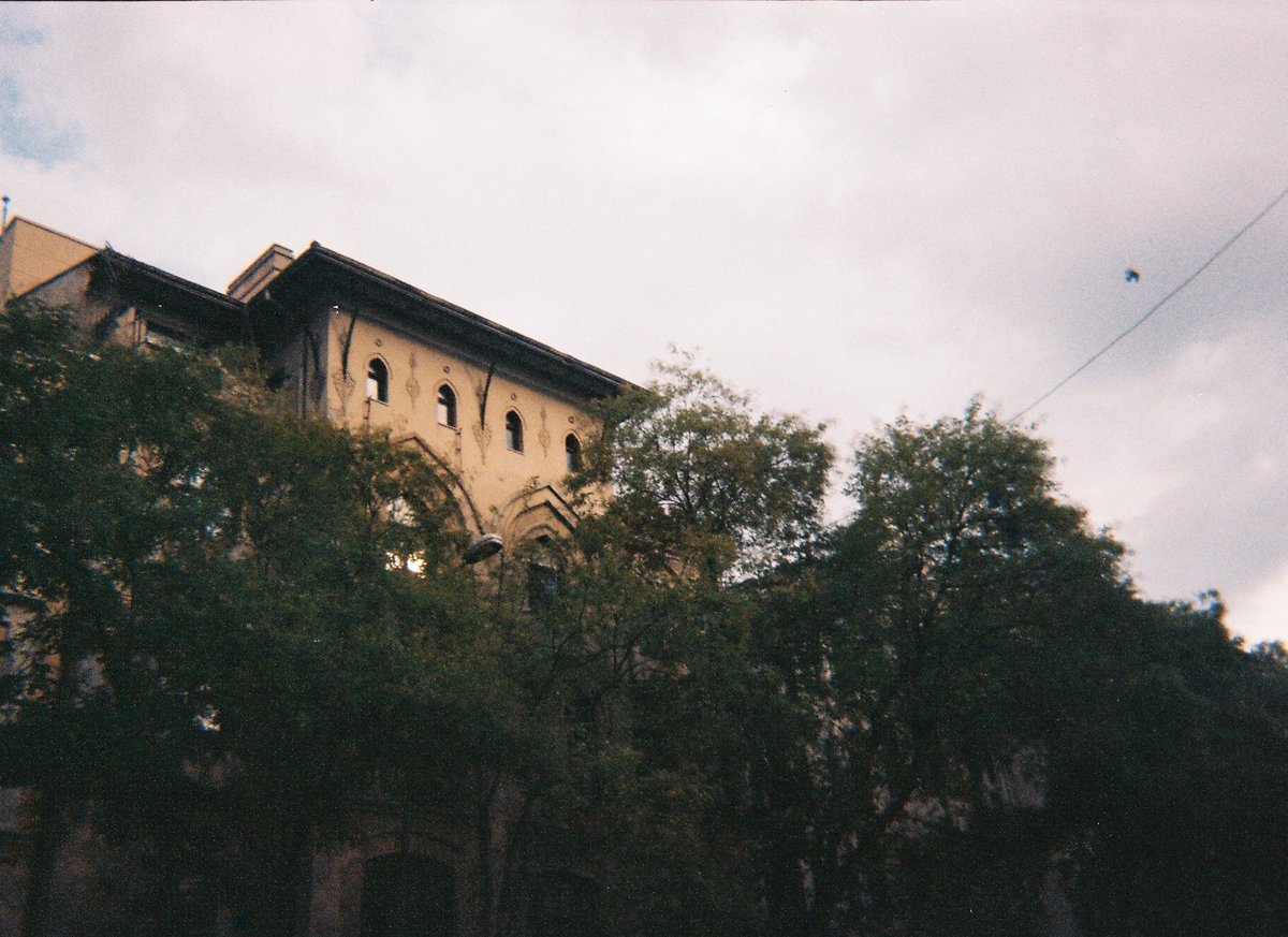 benim ilk analog fotileri💚