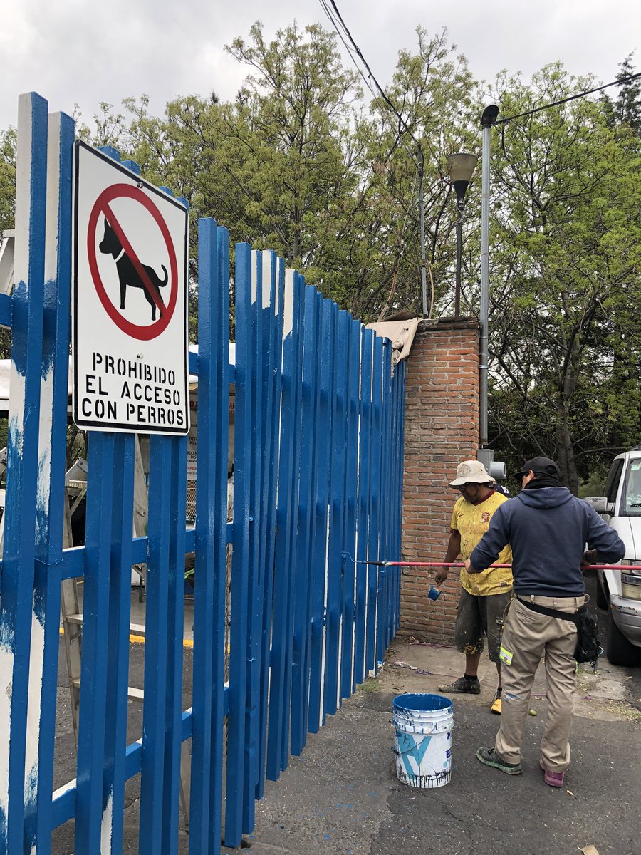 dameunaP's tweet photo. Buenos días @lialimon veo que hoy tienes tu informe en el parque Japón las águilas. Y andan pintando HOY y dándole mantenimiento SÓLO a la zona que los asistentes van a ver. Se agradece, pero se agradecería más un mantenimiento REAL durante todo el año al parque. https://t.co/F3pyWfFt4S