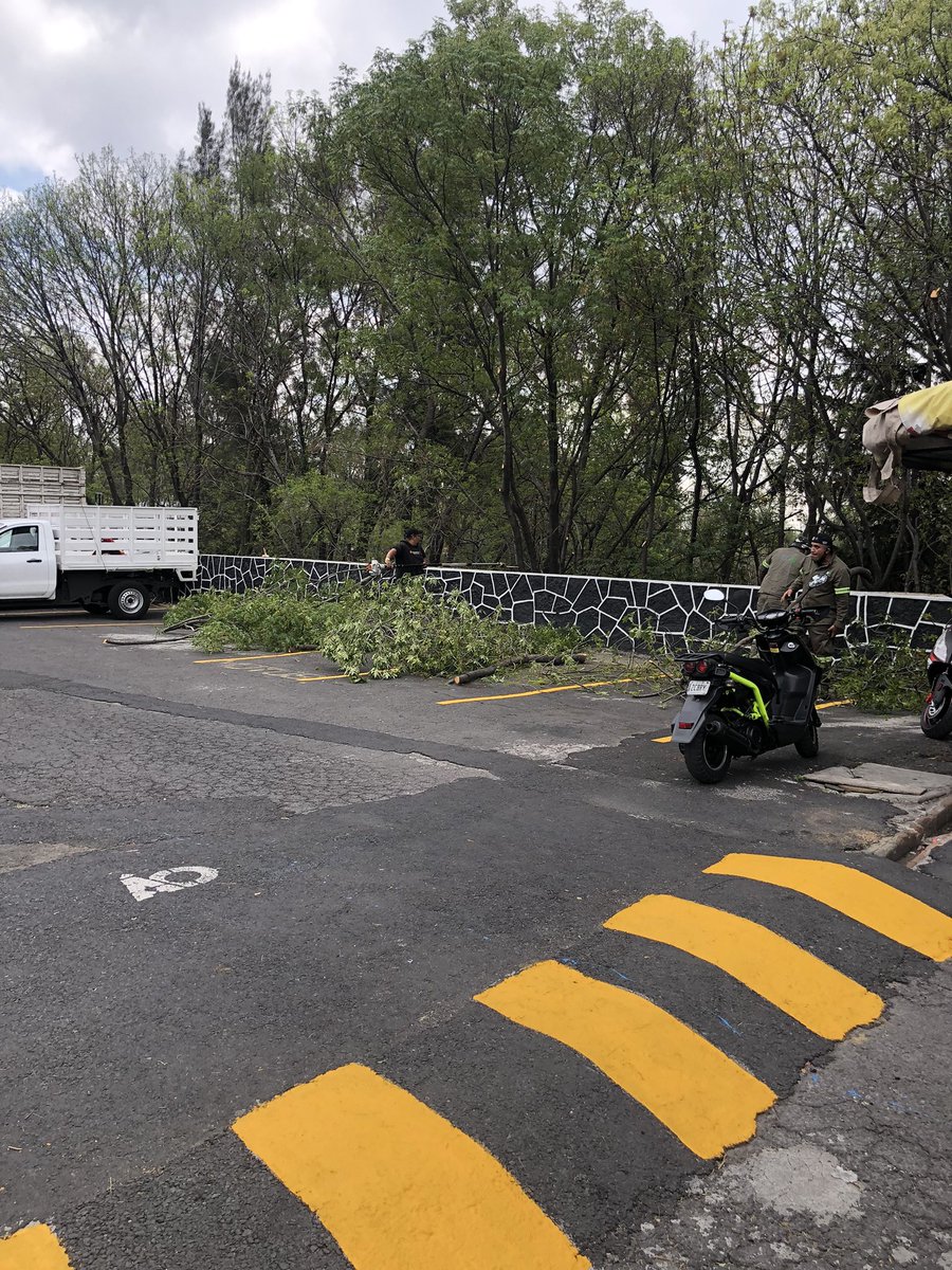 dameunaP's tweet photo. Buenos días @lialimon veo que hoy tienes tu informe en el parque Japón las águilas. Y andan pintando HOY y dándole mantenimiento SÓLO a la zona que los asistentes van a ver. Se agradece, pero se agradecería más un mantenimiento REAL durante todo el año al parque. https://t.co/F3pyWfFt4S