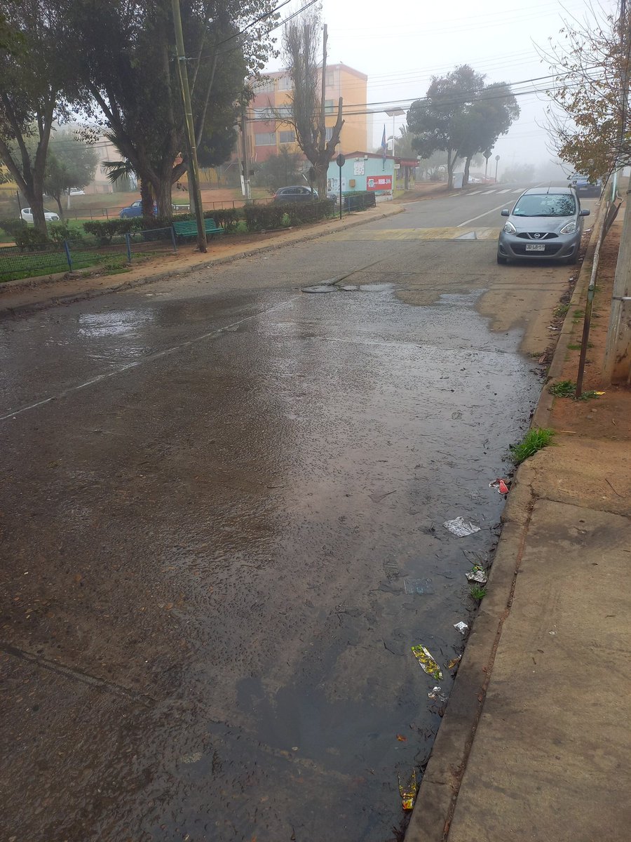 alejandro_e_f's tweet photo. @esval_chile Estimados, ha pasado 1 mes desde su respuesta y el problema aún se mantiene. Por favor su urgente ayuda ya que estamos hablando de una zona de colegios y residencial y la pestilencia es grande https://t.co/QsQns0Ekc8