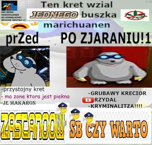 SimplyCaroline2's tweet photo. #bringreksioback 
(Mem z Reksiawki - https://t.co/87fgROmYOa) https://t.co/qogZ9YjEbb