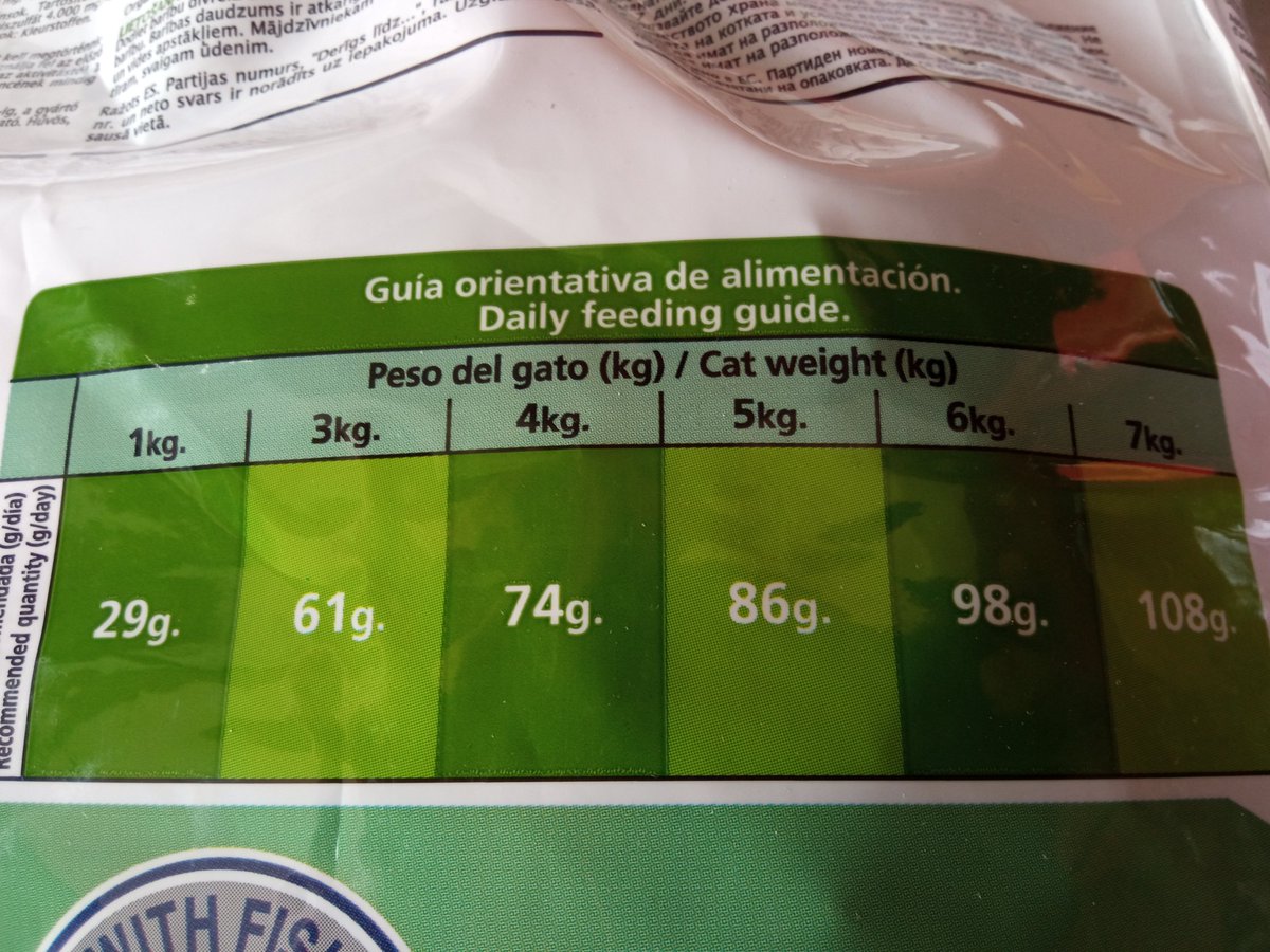 ¿Sabíais que los gatos nunca en su vida pesan 2kg?