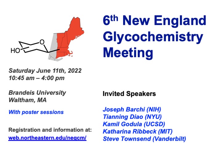aetoumos's tweet photo. One month till the 6th New England Glycochemistry Meeting at Brandeis University on June 11! Back in person after 2 years in the Zoomiverse! Come see @JJBarchiJr @diaogroupNYU, @GodulaKamil, Katharina Ribbeck of @MITdeptofBE, and @Townsend_Lab showcase some excellent #glycotime https://t.co/Dzlei8i7L0