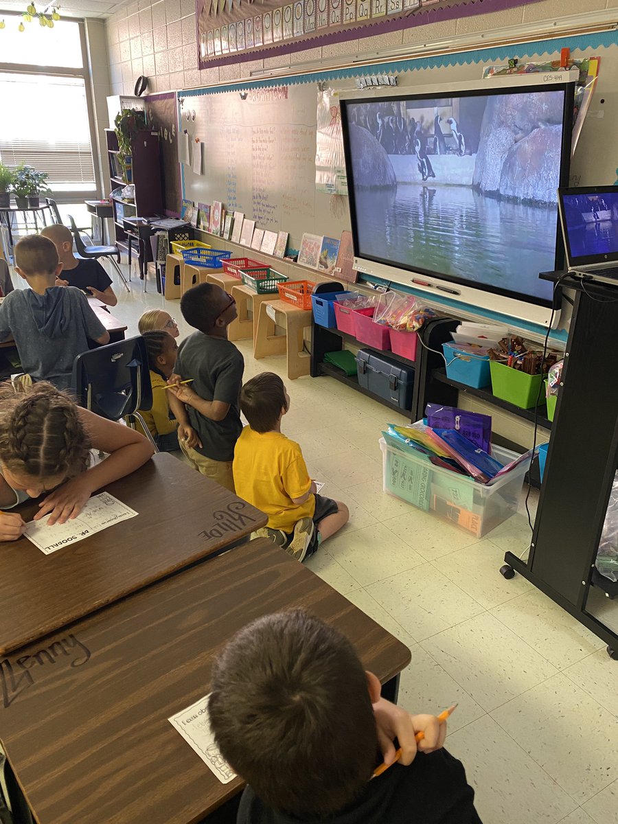 tweetingbrown's tweet photo. We're learning about Jane Goodall this week. We're using live zoo cams to observe like Jane! @ShelbyEdTech #edtech #virtualfieldtrip #observe #futurescientists https://t.co/E8HGaWtyL7