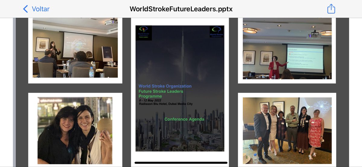 Future Stroke Leaders Program, shaping the Care for stroke of the next generation!