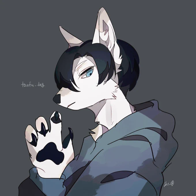 FA 