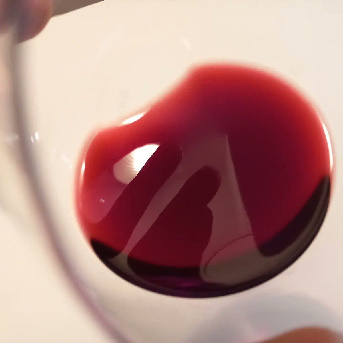 cappellovini's tweet photo. In un vino non filtrato può capitare di trovare una bot6che abbia eccesso di sedimento alla fine,ma il vino continua ad essere perfetto,filtrare toglie l'anima al vino.

Ròse 2020 Cerasuolo Reliquia.
https://t.co/kLJFCZ9Blq

#wine 
#winelovers https://t.co/HwBYogwXg9