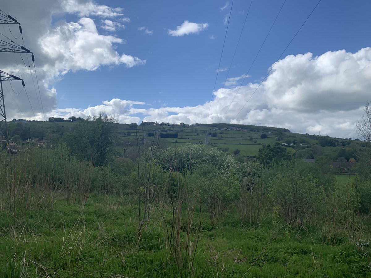 TomNewallMusic's tweet photo. A gorgeous run along the #settvalleytrail in between rehearsals! #running #conductor #Derbyshire https://t.co/ij5UaRdfV8