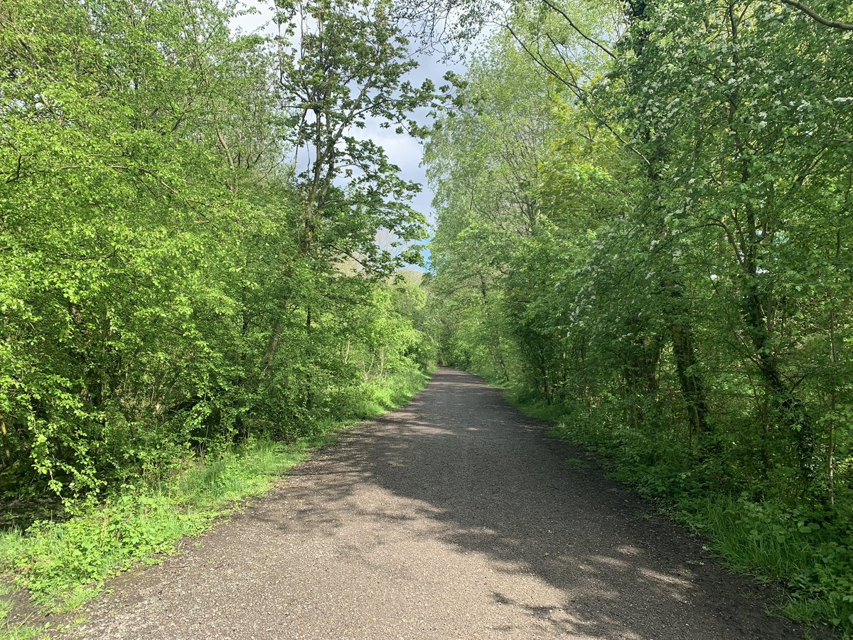 TomNewallMusic's tweet photo. A gorgeous run along the #settvalleytrail in between rehearsals! #running #conductor #Derbyshire https://t.co/ij5UaRdfV8