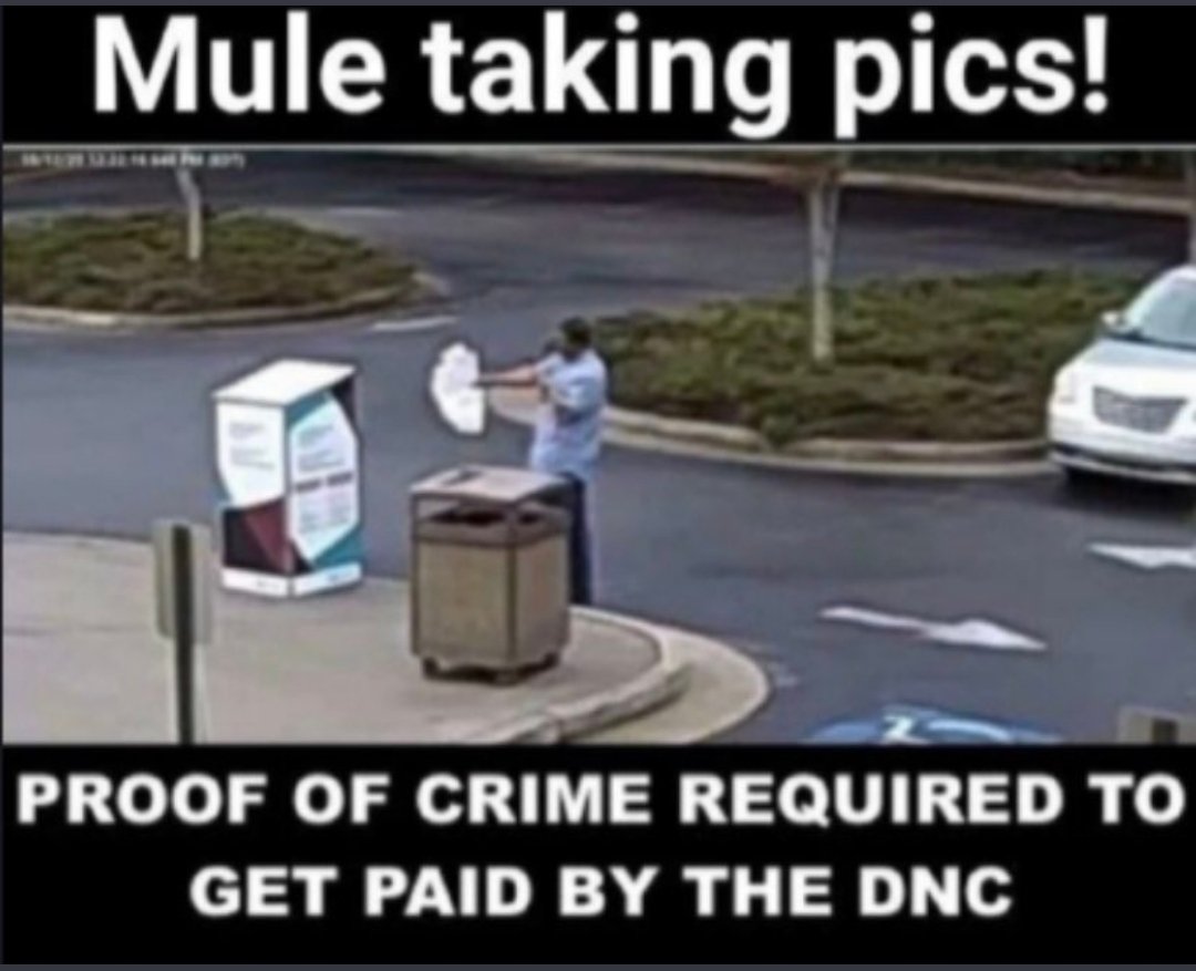 GroveyGallery's tweet photo. @Republicant17 @kristinawong @mattgaetz @RepMattGaetz 81 million votes! (Obviously not really) I bet they were Russians! Oh wait, biden owes Ukraine favors... Ukraine stole the 2020 election! How's my 'liber logic? https://t.co/hhV5ItdilZ