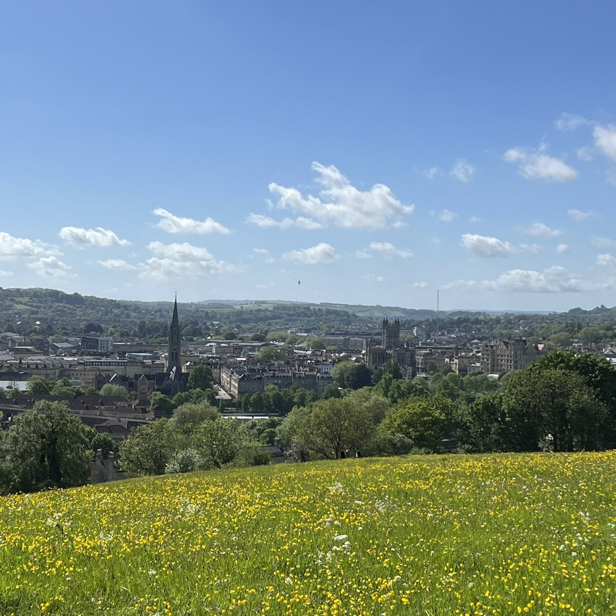 WildandWool's tweet photo. Beautiful afternoon walking the dogs in the buttercups on Bathwick Hill, admiring beautiful Bath πππ
#visitBath #weloveBath #Bathviews #dogwalkpics #Millie #miniaturewirehaireddachshund https://t.co/qZ9EPD2OOk