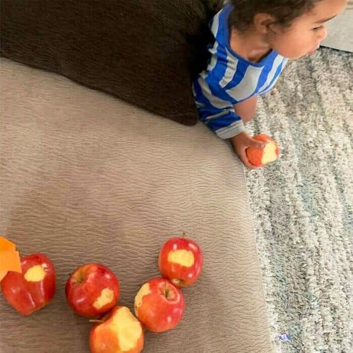 khulahosting's tweet photo. Mashudu they keep buying them, the ratio of active vs dormant domain will tell you stories is high.😬 https://t.co/z8eiEkLAHa
