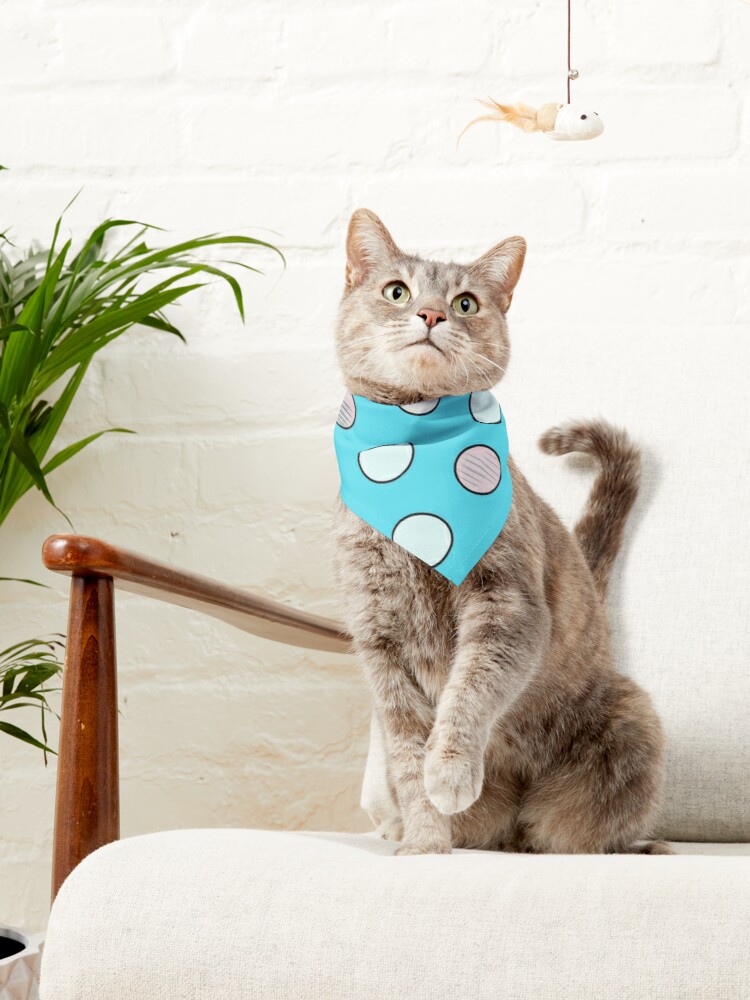 ArtworkSonias's tweet photo. Adorable pet Bandanas available in my @Redbubble shop. Spoil your fur baby today.
https://t.co/aQ1EtWn9pc
#cat #cats #cataccessories #CatsOfTwitter #CatsOnTwitter #redbubble #redbubbleshop #redbubbleartist #independentartist #womanartist #petfashion #petware #patterndesign https://t.co/3O1i0uRmVL