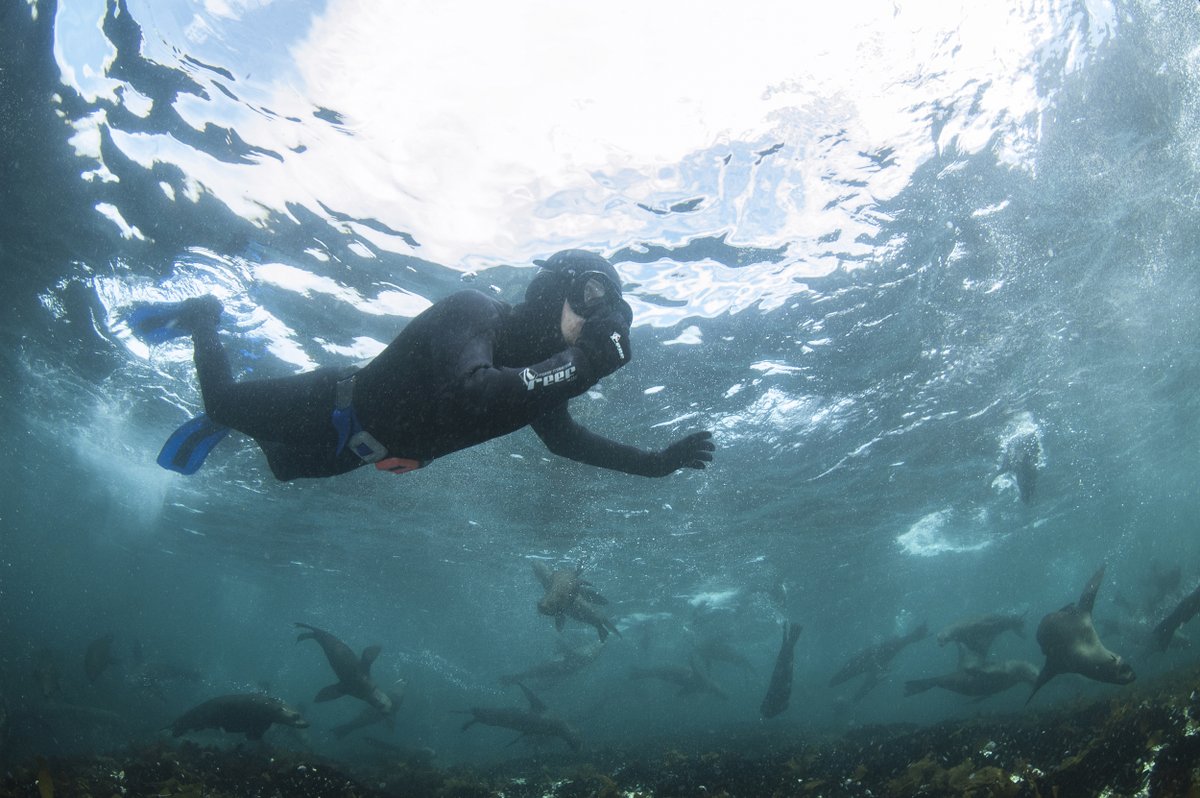 CapeTown_Active's tweet photo. Why do Seals swim in Salt water...
Because pepper water would make them sneeze!
Get out and experience, explore and celebrate all that this incredible city has to offer!
๐ https://t.co/qKHC30hmXW
@animalocean
#CapeTownActive #SealSnorkeling #AnimalOcean #CapeTown https://t.co/LLj0j2KIDd