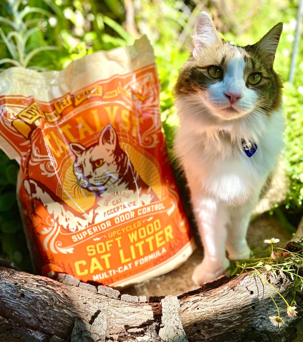 Catalyst Pet tweet media