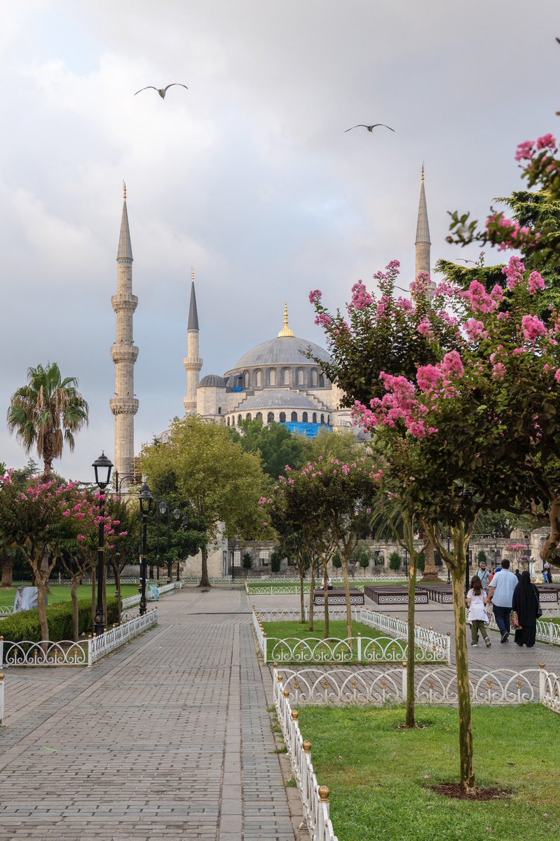 l_uysalNft's tweet photo. Hi #nft fam. 

#sultanahmetmosque 

#NFTCommmunity #NFTGiveaway
#nftphotographer #nftcollector #NFTs  
@opensea https://t.co/St9UrsgxGI