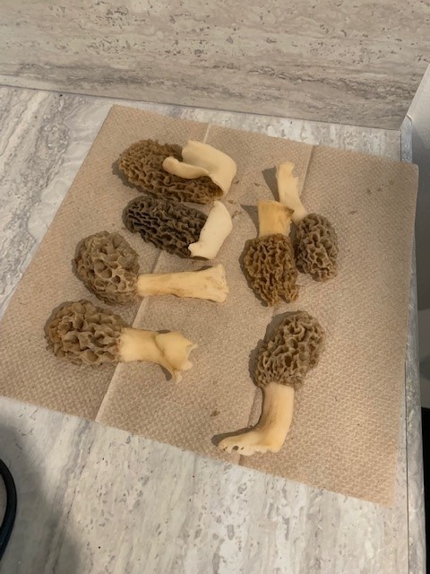 Nurse Tracey making mushrooms she found for her residents!