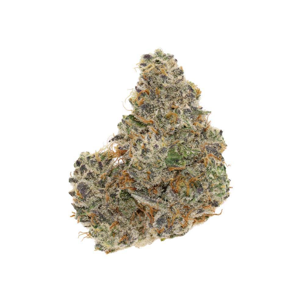 Hortmanslife's tweet photo. Lemon Mints (Seed Junky)

Lemon Tree X Kush Mints

RATIO:
60/40 Indica

FLAVOR NOTES:
Citrus, Lemon, Menthol, Sour, Sweet

#cannabisclones #CannabisCommunity  #growyourown #cannabisgrower #seedjunky #lemonmints https://t.co/B9c8VxPhta