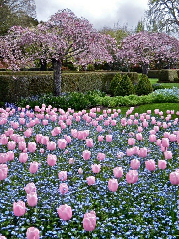 stephanie__acnh's tweet photo. my dream garden https://t.co/Eq62stqk0b