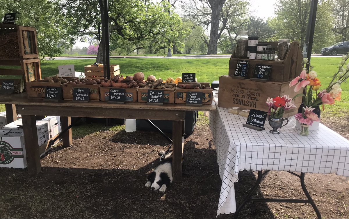 The dog days of spring <a href="/GreenCityMarket/">Green City Market</a> #Chicago