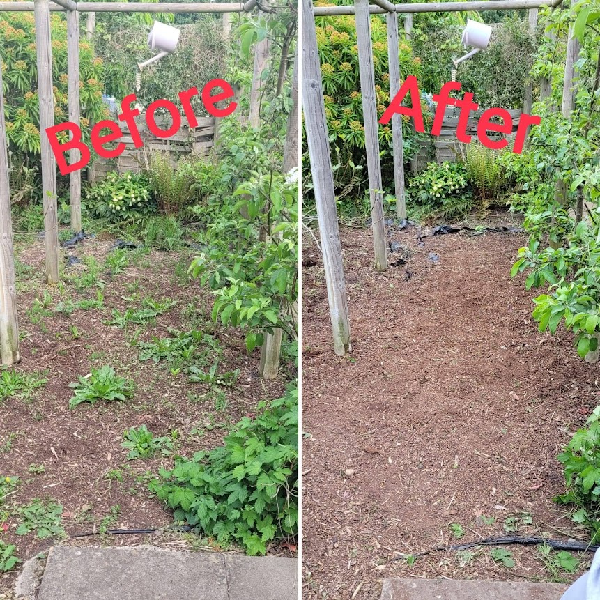 1stbeckenham's tweet photo. This week, the Cubs visited Dorset Road allotments for their gardening badge. The Cubs worked really hard to repair bug hotels and clearing out and repotting some flowers for the secret garden. Many thanks to Dorset Road allotments for our visit! https://t.co/W0XuVP9Nj7