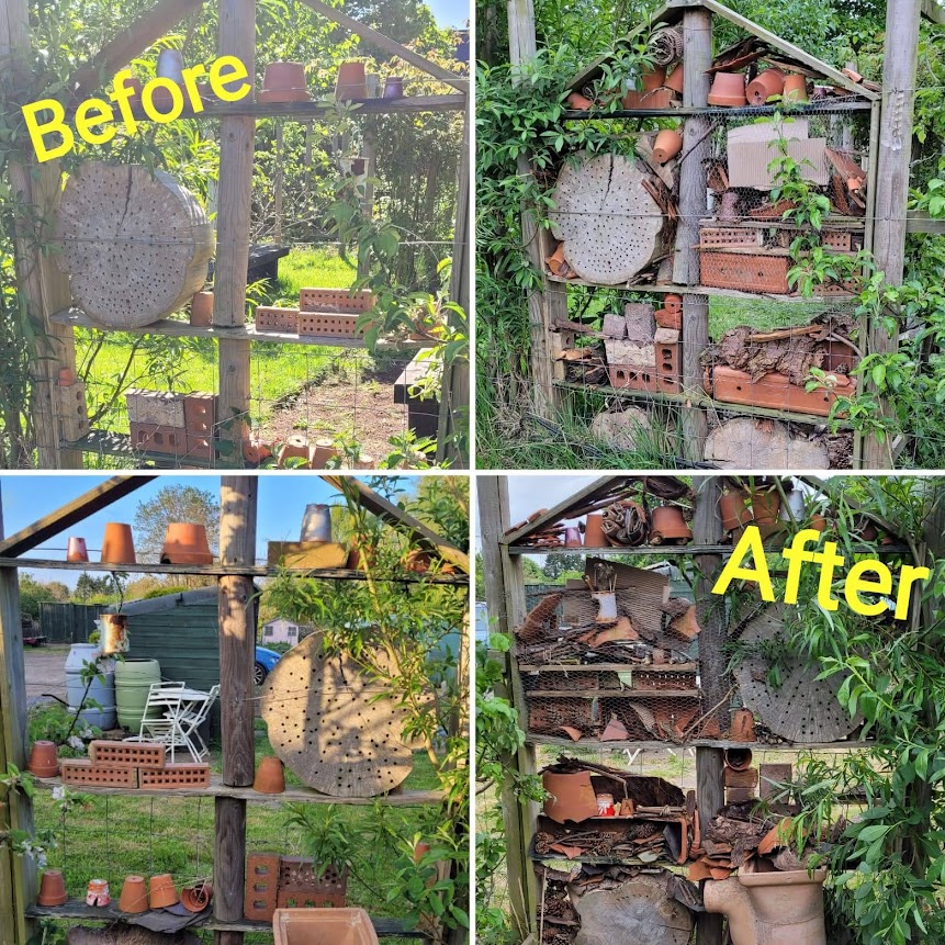 1stbeckenham's tweet photo. This week, the Cubs visited Dorset Road allotments for their gardening badge. The Cubs worked really hard to repair bug hotels and clearing out and repotting some flowers for the secret garden. Many thanks to Dorset Road allotments for our visit! https://t.co/W0XuVP9Nj7