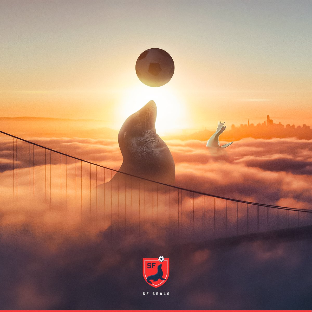 Showing some love for SF Seals of <a href="/SFYouthSoccer/">SF Youth Soccer</a> <a href="/MLSNEXT/">MLS NEXT</a> 
.
.
.
 #SanFrancisco #ProSoccer #Soccer #BayArea #sfseals #BayAreaSoccer #BayAreaFutbol #Futbol #YouthSoccer #SoccerTraining #SoccerSkills #itsaboutthejourney