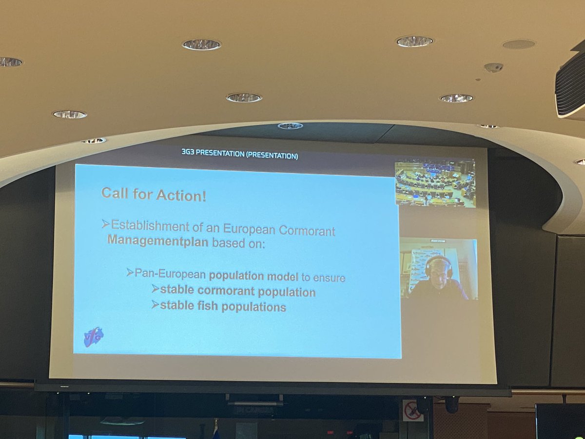RecFishingEP's tweet photo. Stefan Jäger denounces the ´Bermuda triangle’  behind the ineffective use of art. 9 of the #BirdDirective. 

He calls for a European management plan as asked by @Europarl_EN in 2008.  

@EP_Fisheries hearing on #cormorants’ impact on fisheries and aquaculture. https://t.co/EBCfALOT7v