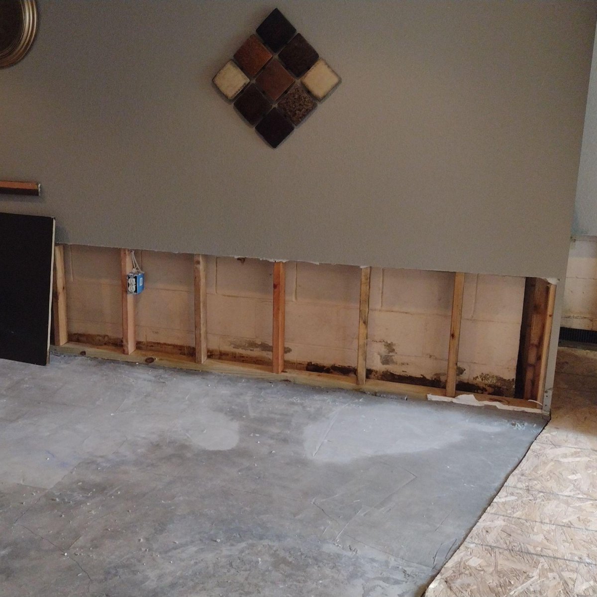 Kelmann Restoration tweet media