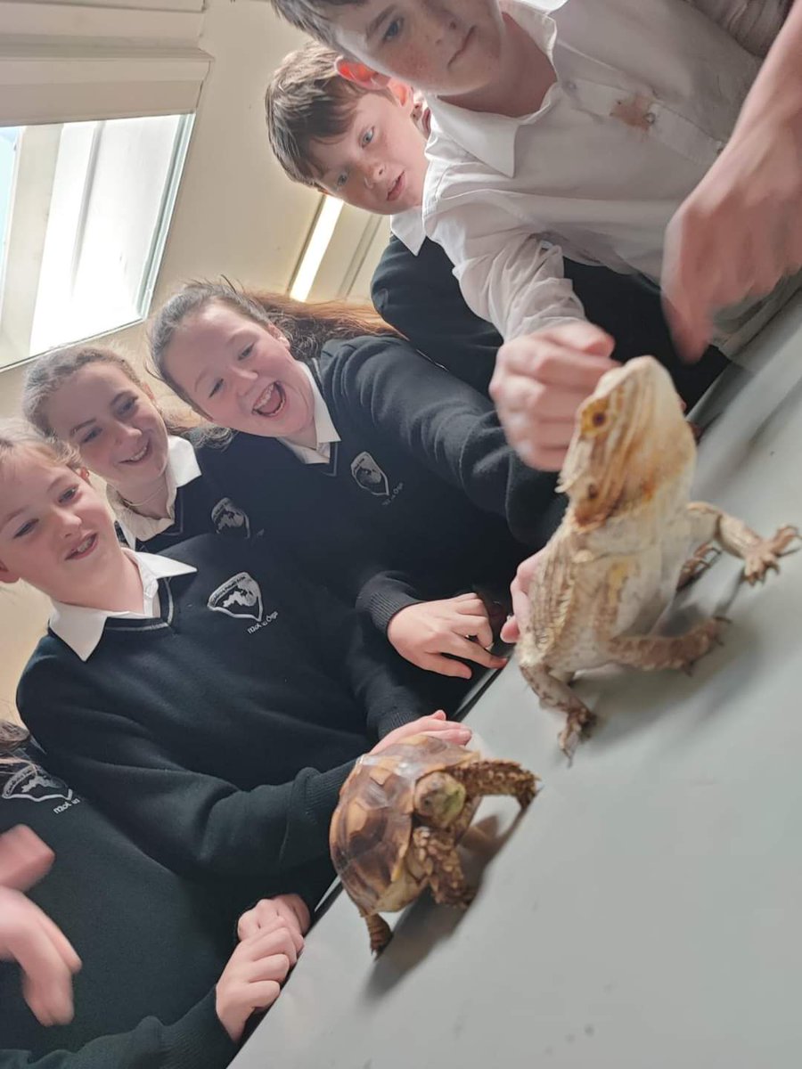 Our Science students got to grips with a bearded dragon, a tortoise, a ball python, a carpet python, a leopard gecko and a cornsnake! 🐍🐢🦎

Thanks to Ms Griffiths for sharing them with our students