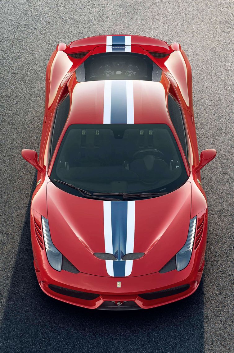 paolopicheca's tweet photo. #amicocaro,
la bellezza non e' tutto..
Ma questo e' troppo‼️💕 https://t.co/MyMu3UReVm