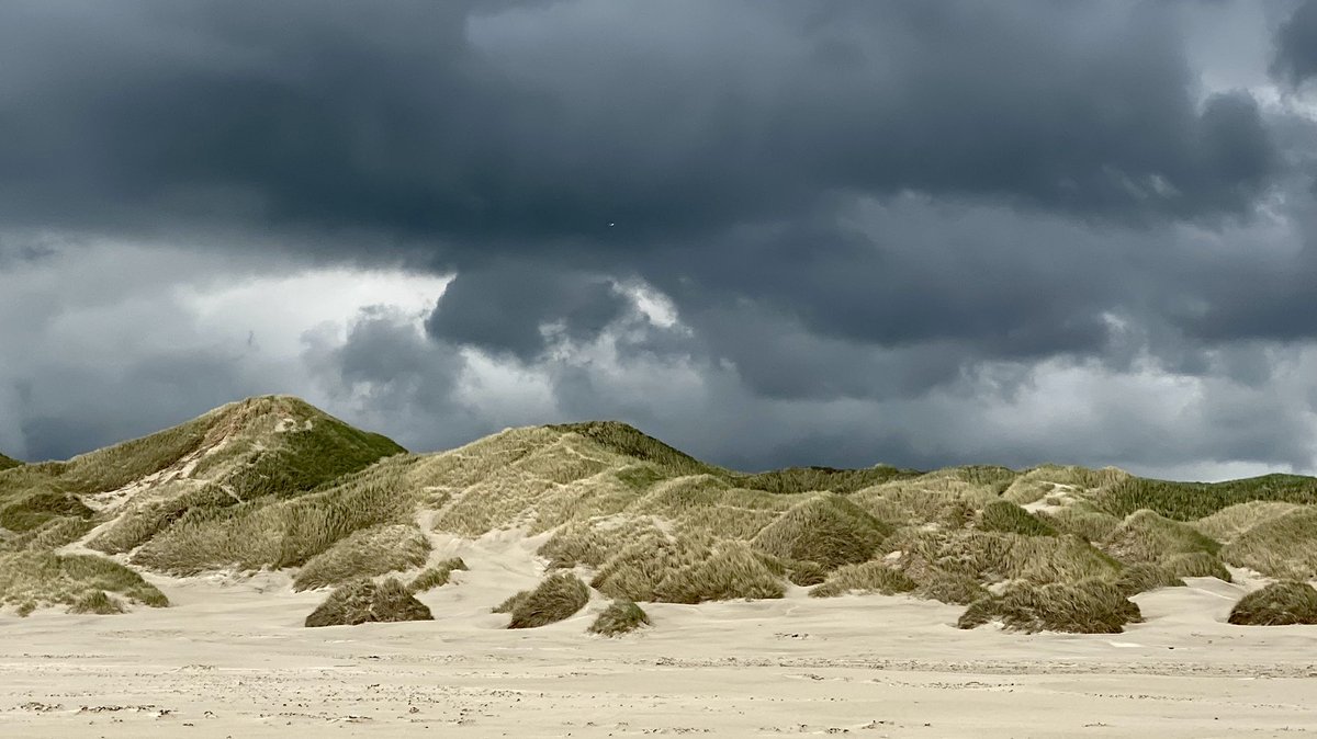 CaLaursen's tweet photo. Nature in all it’s glory #gratitude
#saltum #nordjylland #danmark https://t.co/pHJuF4bcEC