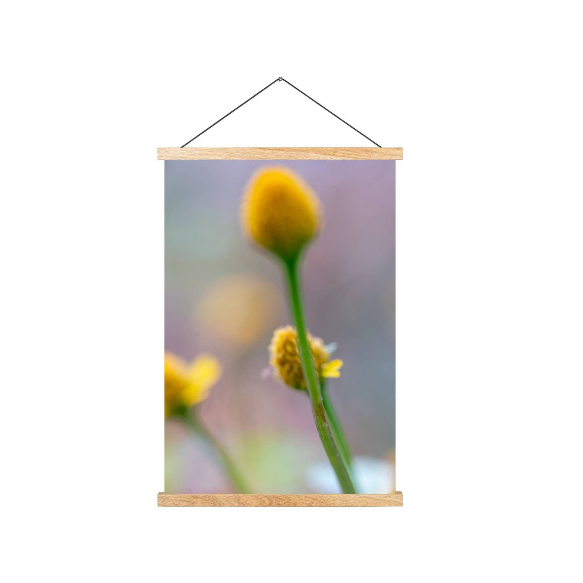 MinjiWorkshop's tweet image. Sleek sellouts! 🤓. Order Wooden Magnetic Poster Hanger | Frames for Art | Poster Frames | Magnetic Hanging Frames for Canvas or Paper at $11.00 from etsy.me/37u0tHy #MagneticFrames #WoodenMagnetic