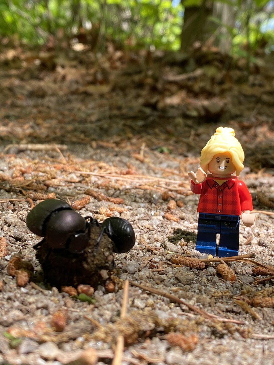 LegoForages's tweet photo. Lots of #interesting finds and #awesome views while #hiking in Murray and Whitfield Counties!
#GreatBigRocks #LookAtThatView #FortMountainStatePark #GeorgeDisneyTrail https://t.co/Mz0w1HaRLI
