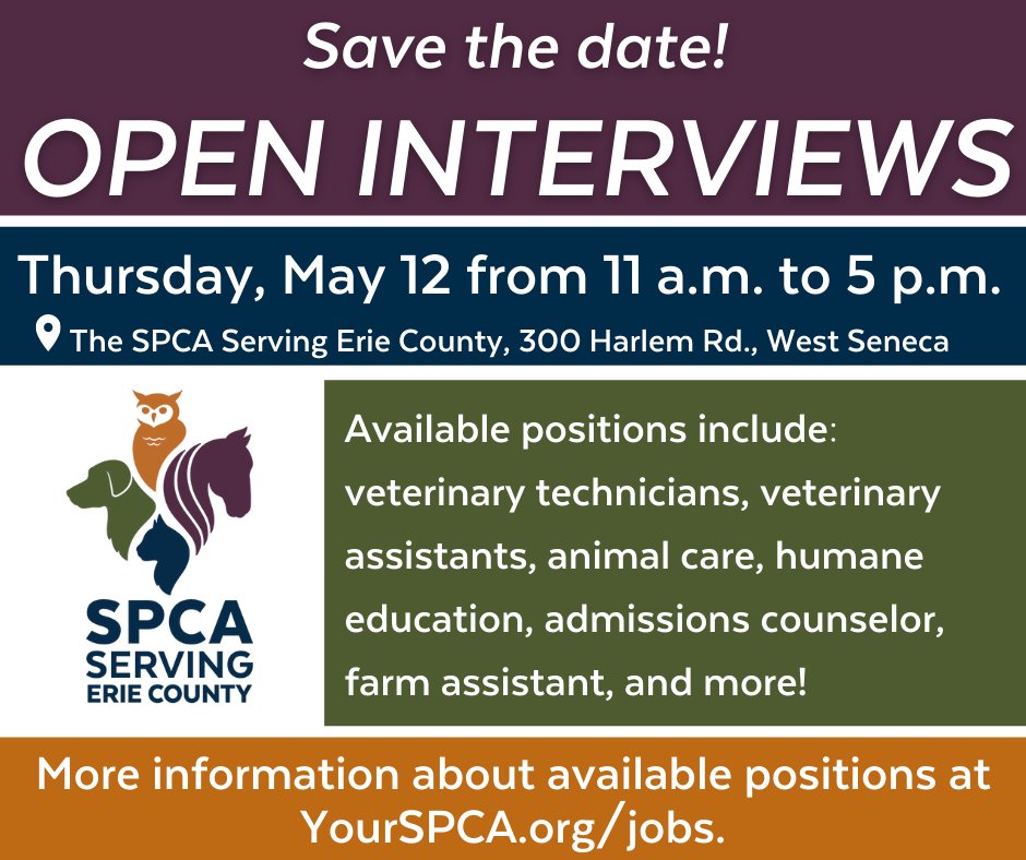 YourSPCA's tweet photo. View https://t.co/ytceYHMDbw to see available positions!
#workwithus #workwithanimals #jobsearch #careers #nowhiring #jobhunt #employment #openinterviews #HR #work #staffing #jobopenings #jobs #vetjobs #wnyjobs #buffalojobs https://t.co/y5EdqejyJF