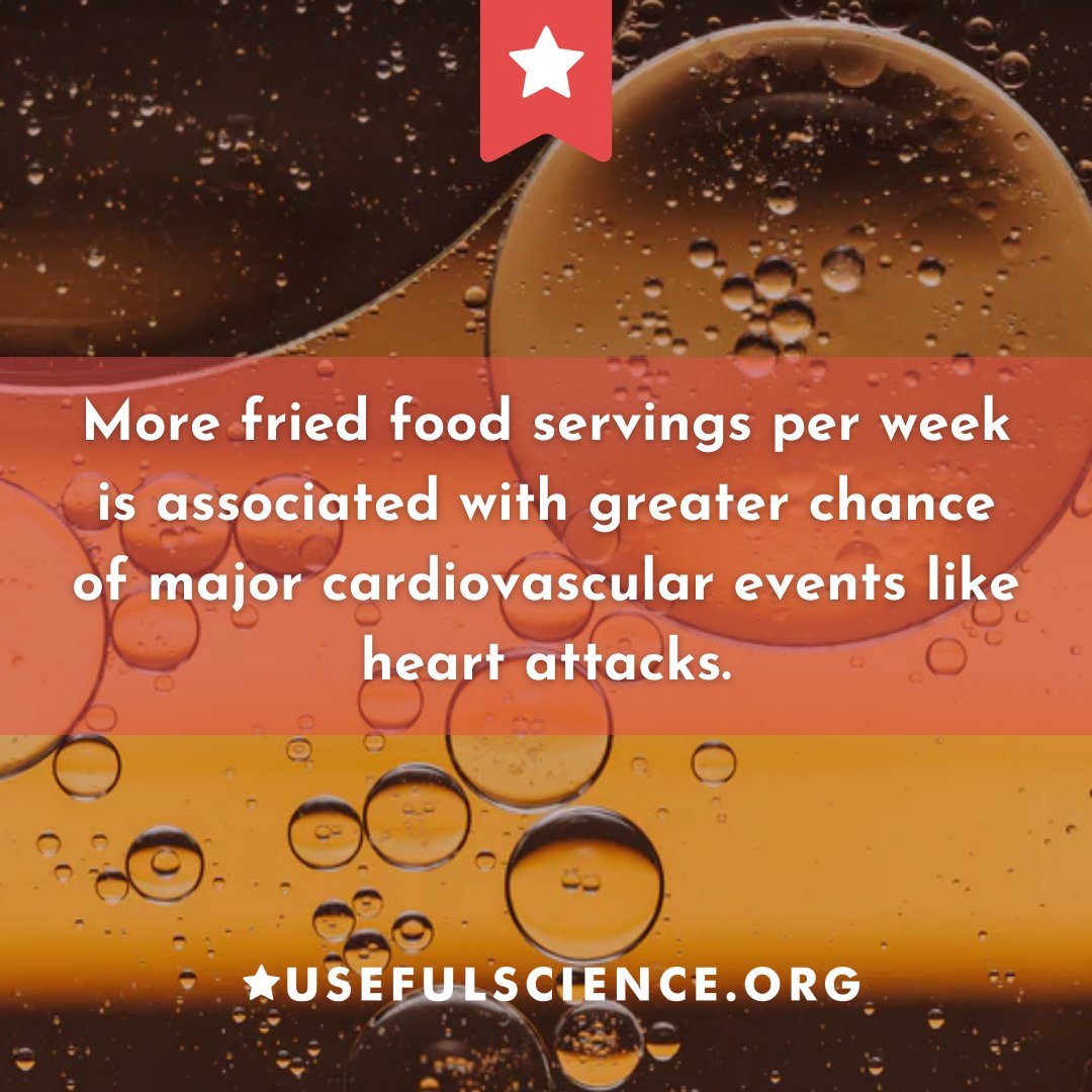usefulsci's tweet photo. What kind of fried foods do you like? 🍟

#nutrition #health #usefulscience 

https://t.co/6UtRiMMEOo https://t.co/aHBPEaCOIu