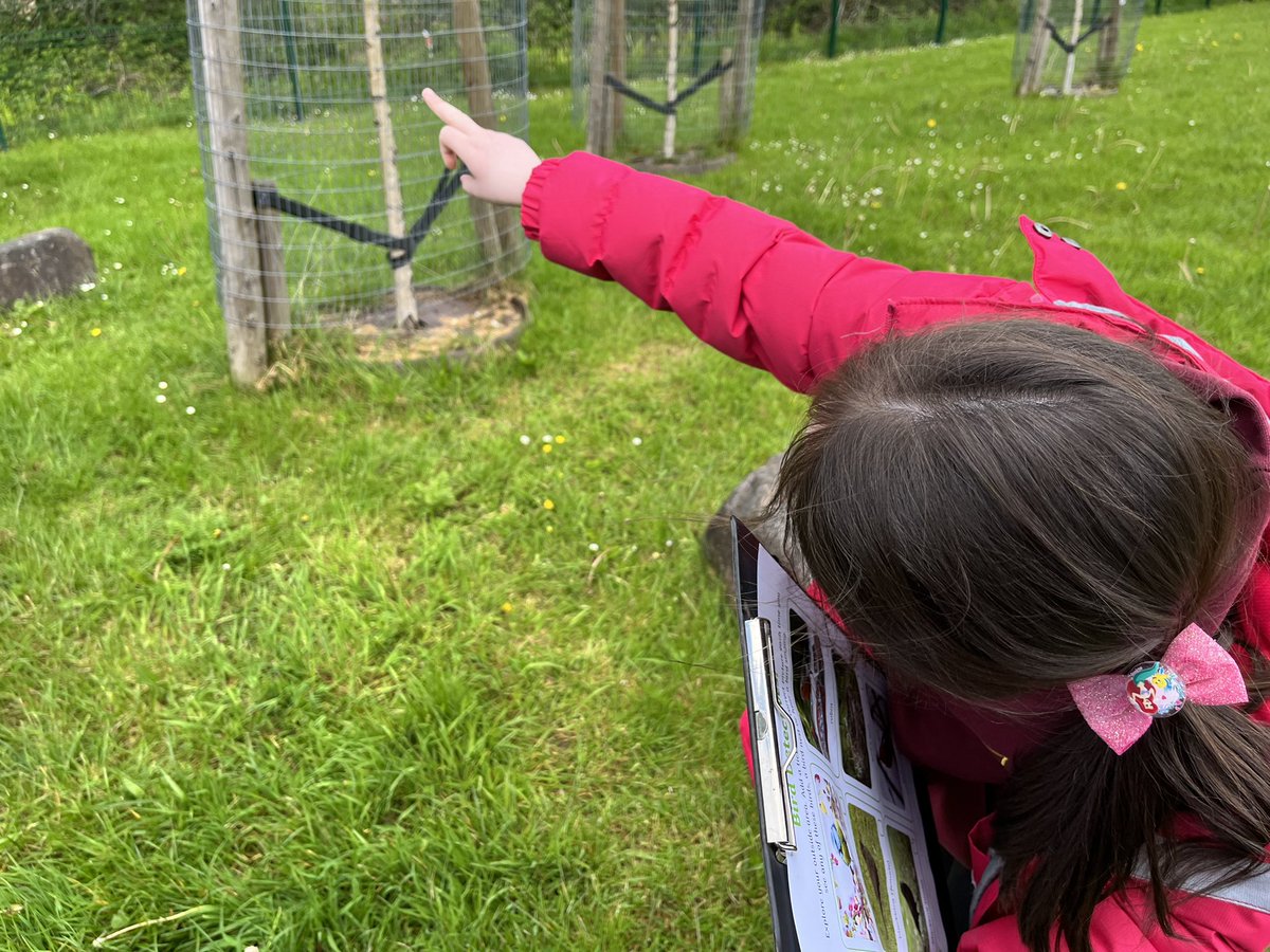 CymerPrimary's tweet photo. Happiness is jumping in muddy puddles with friends, and looking for birds along the way! π¦ #CAPRecY1 #outdoorlearning #healthandwellbeing #outdoorexplorers #busybirds #muddypuddles π¦ https://t.co/w1dX42MDl7