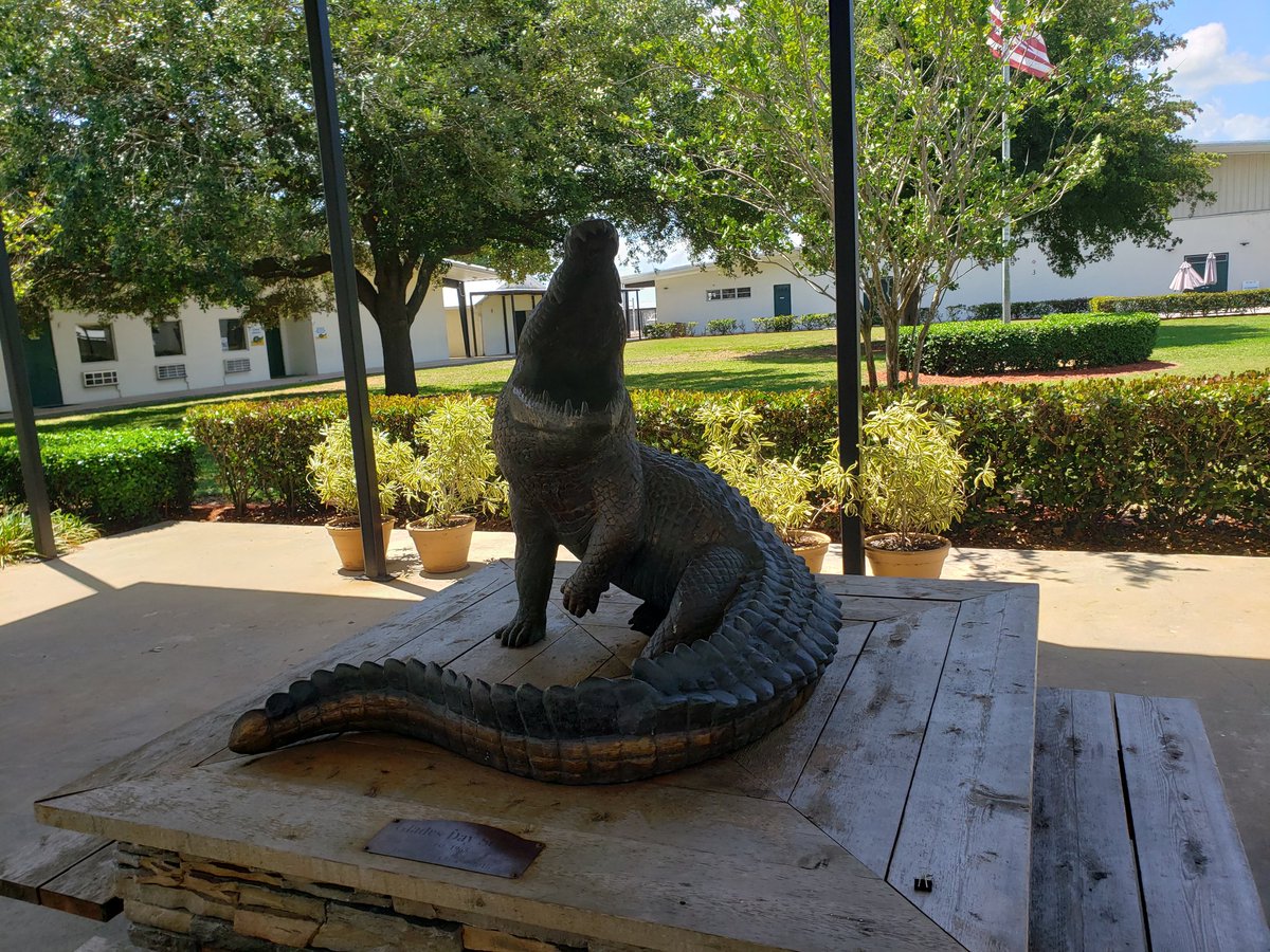 Coach Cam Rodgers tweet media