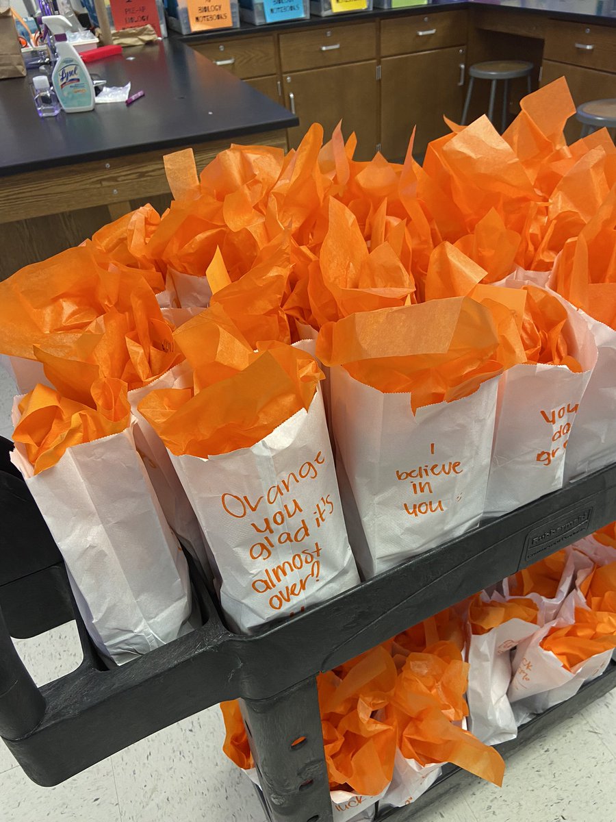 Dgracel's tweet image. Treat bags for my kids taking the AP bio test today.  “Orange you glad it’s almost over?”  😂Reeces, goldfish and cheezits.  Snacks of champions!!  @georgetownhs #APBiology